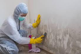 Best Industrial Mold Remediation  in Waltham, MA